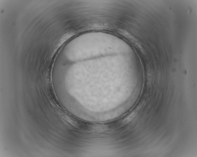 X0000074301170200609151934