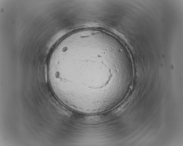 X0000074301171200609151934