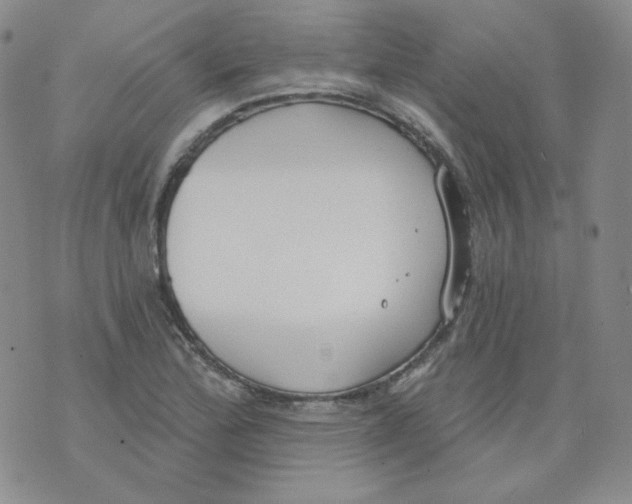 X0000074301172200609151934