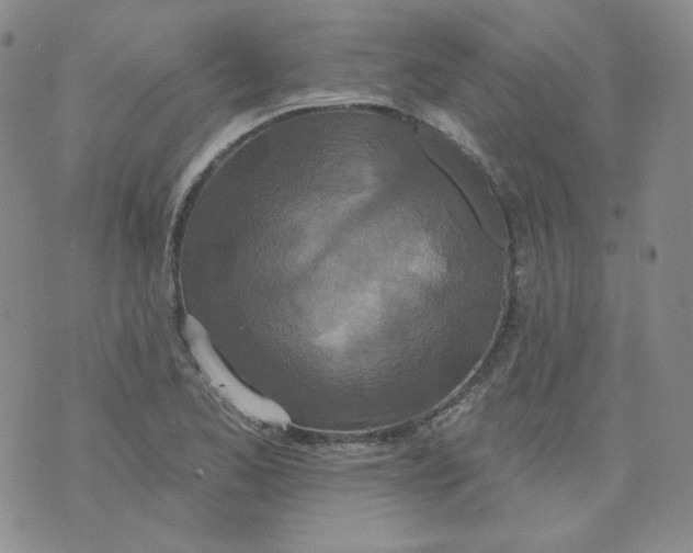 X0000074301173200609151934