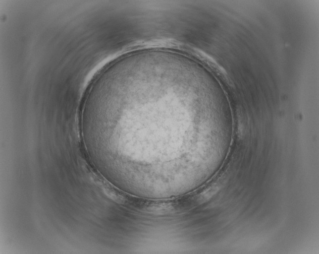 X0000074301174200609151934