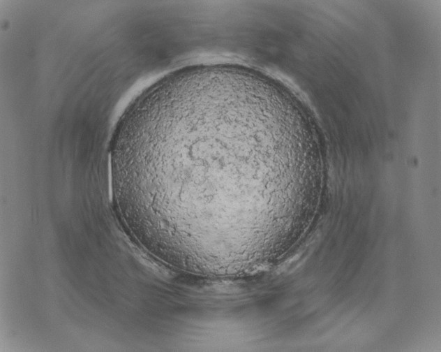 X0000074301175200609151934