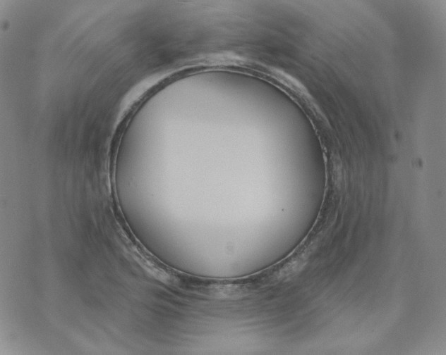 X0000074301176200609151934