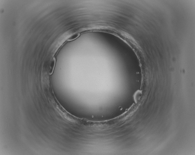 X0000074301177200609151934