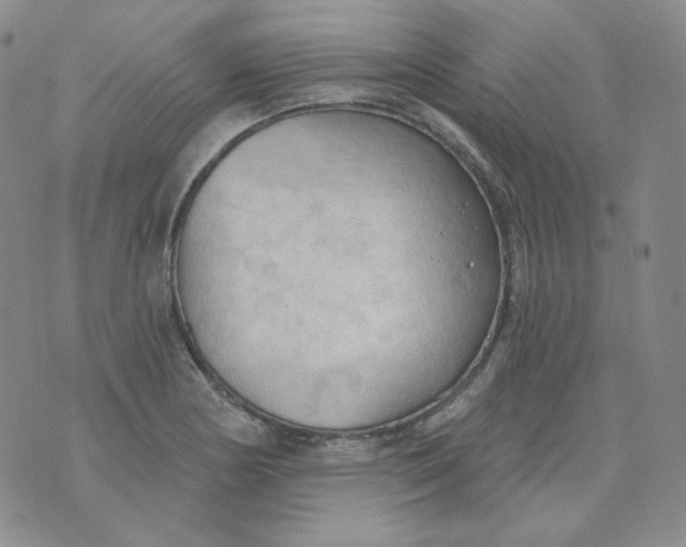 X0000074301178200609151934