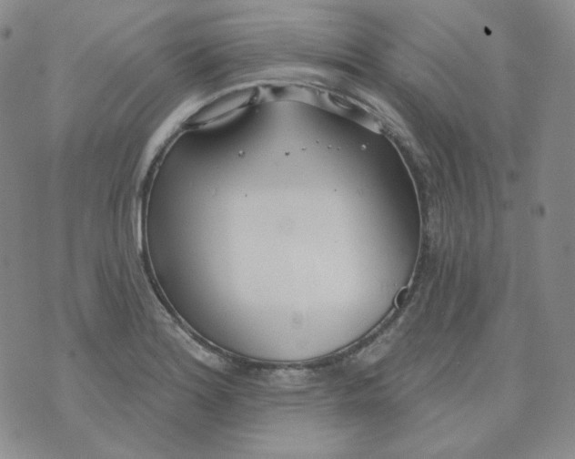 X0000074301180200609151934