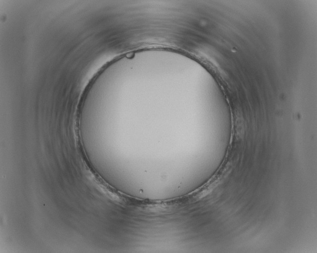 X0000074301182200609151934