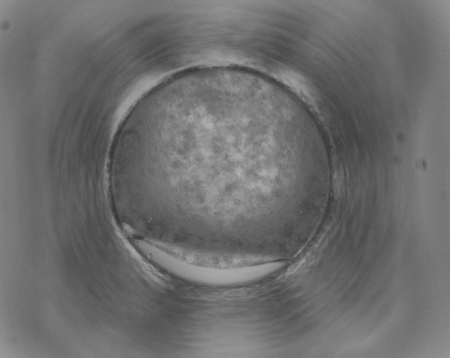 X0000074301183200609151934