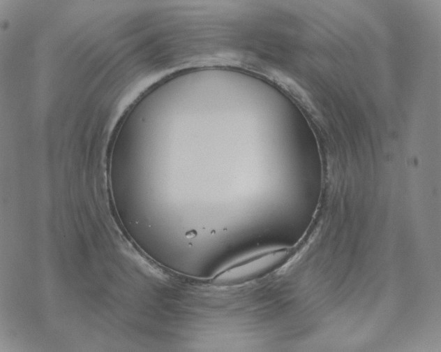 X0000074301184200609151934