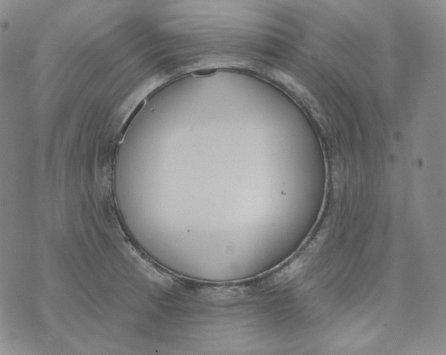 X0000074301185200609151934