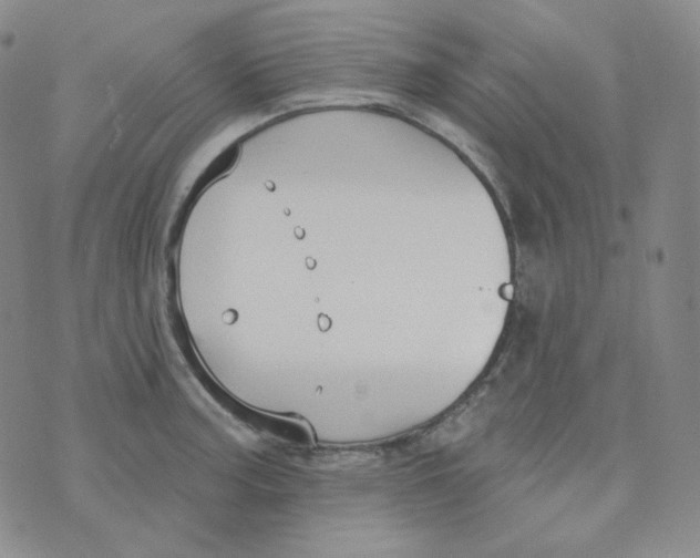 X0000074301187200609151934