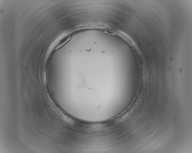 X0000074301188200609151934