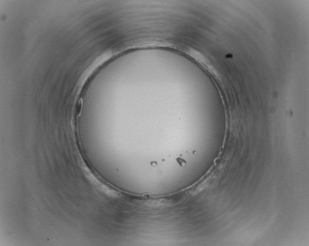 X0000074301189200609151934