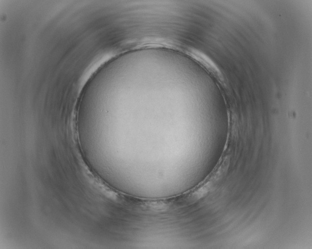 X0000074301190200609151934