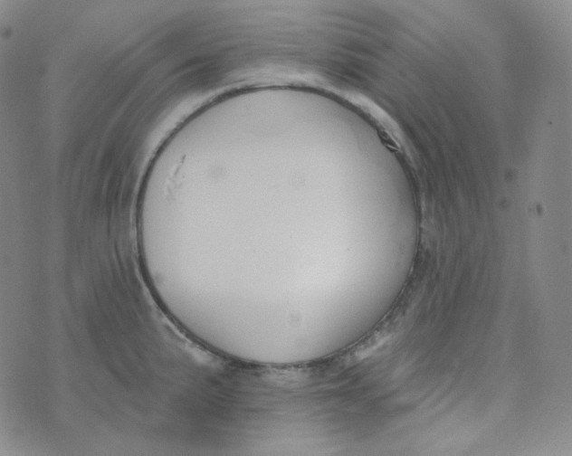 X0000074301191200609151934