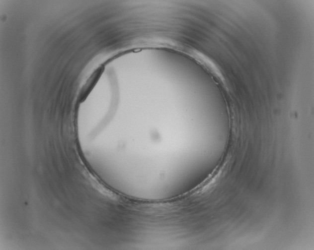 X0000074301192200609151934