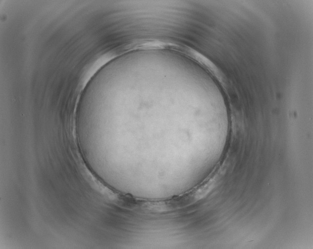 X0000074301194200609151934