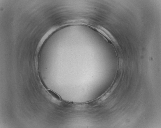 X0000074301196200609151934