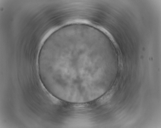 X0000074301199200609151934