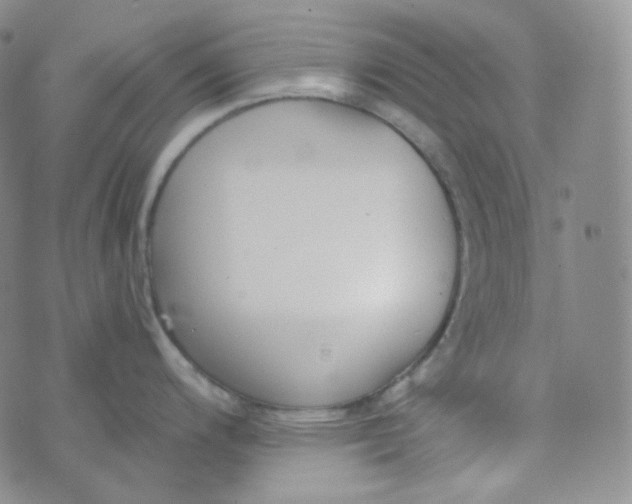 X0000074301200200609151934