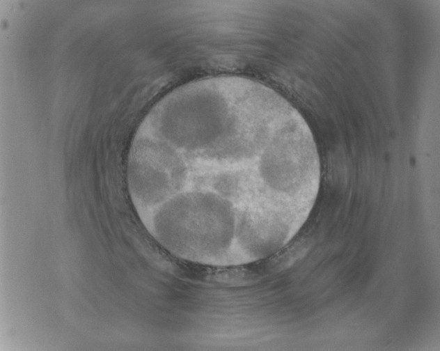 X0000074301201200609151933