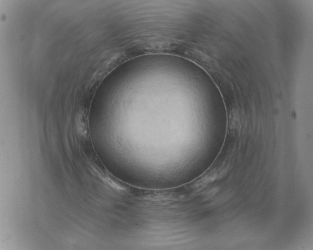 X0000074301202200609151933