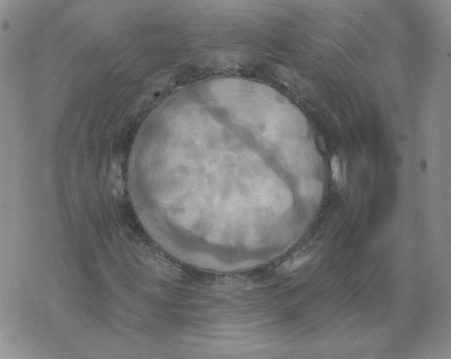 X0000074301203200609151933