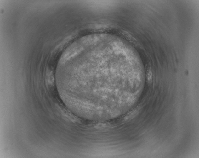 X0000074301204200609151933