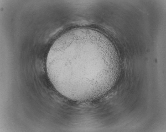 X0000074301205200609151933