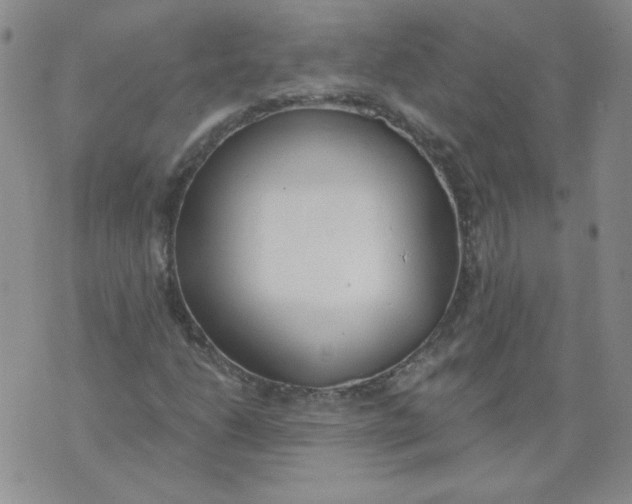 X0000074301206200609151933