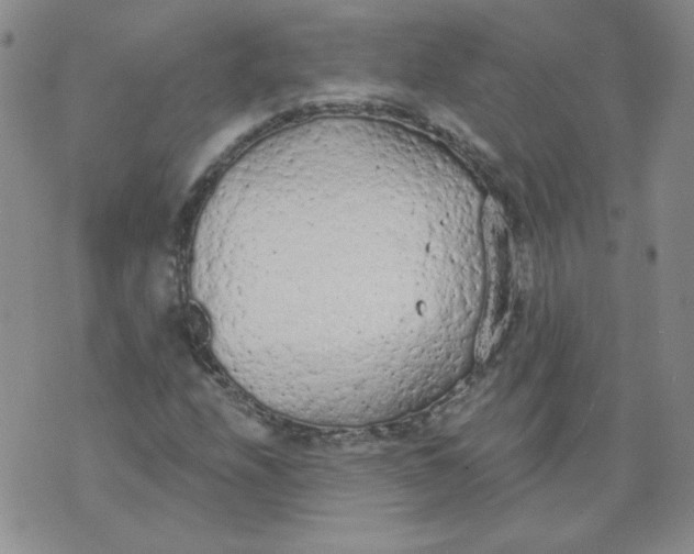 X0000074301208200609151933