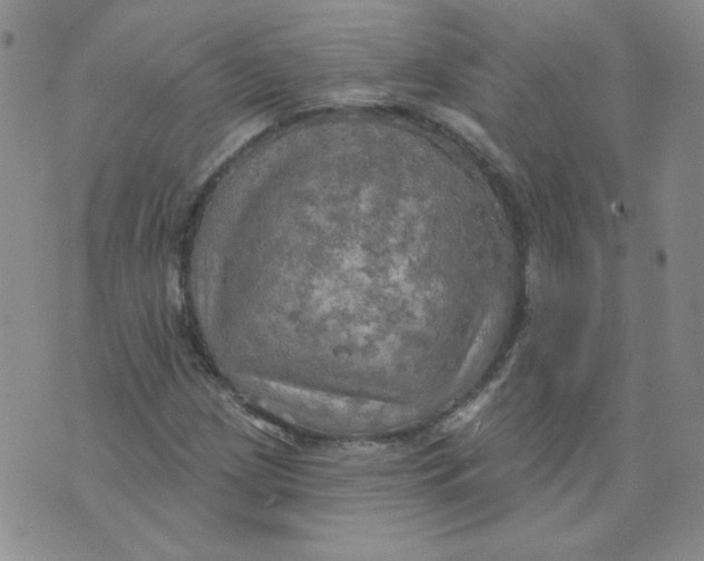 X0000074301209200609151933