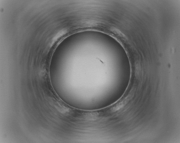 X0000074301210200609151933