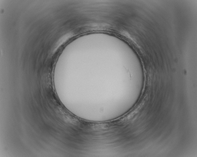 X0000074301211200609151933