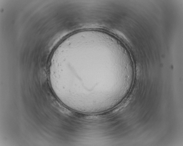 X0000074301212200609151933