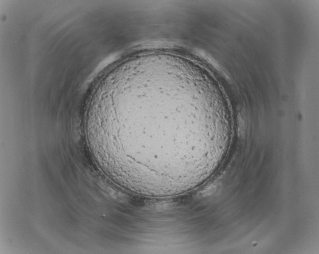 X0000074301213200609151933