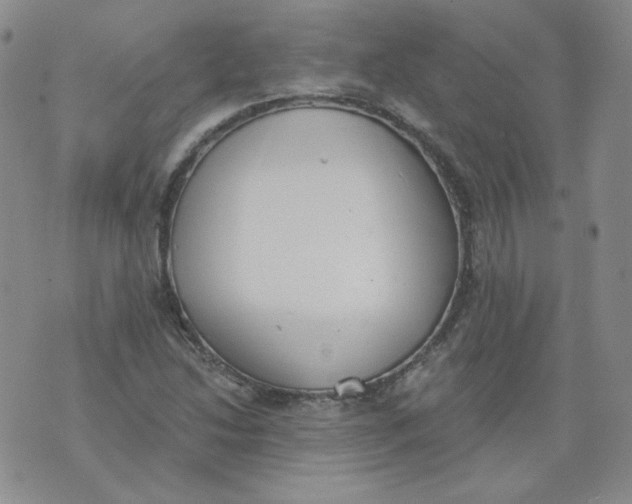 X0000074301214200609151933