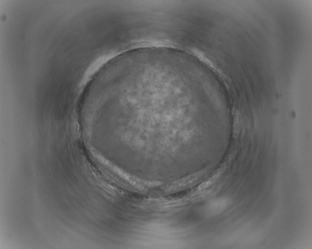 X0000074301215200609151933