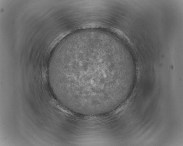 X0000074301217200609151933