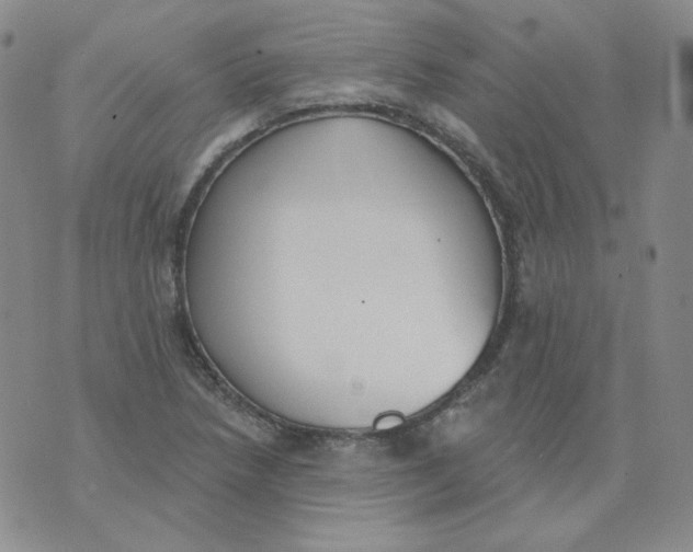 X0000074301218200609151933