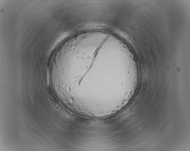 X0000074301219200609151933