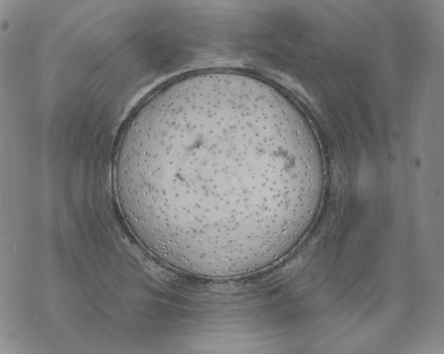 X0000074301220200609151933