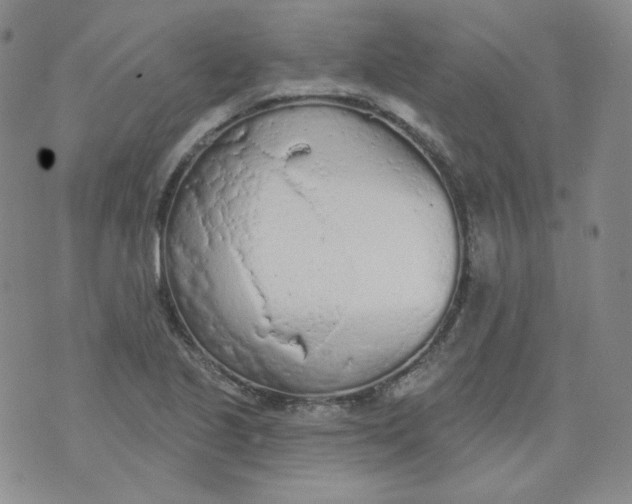 X0000074301221200609151933