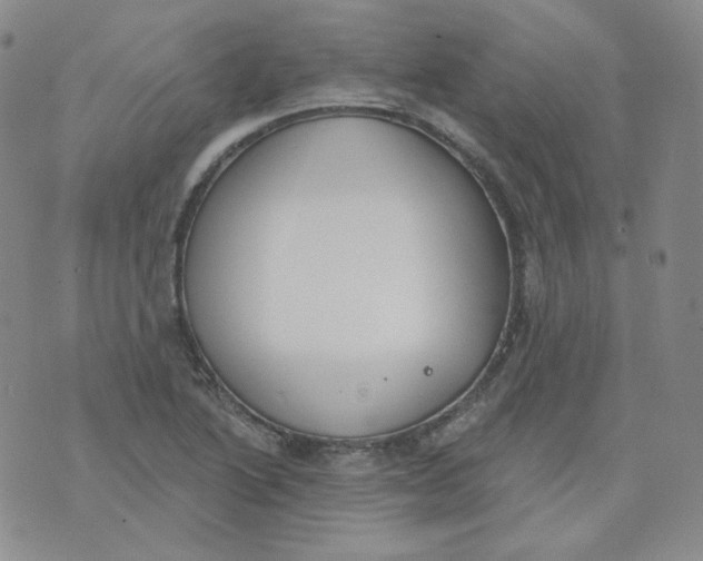 X0000074301222200609151933