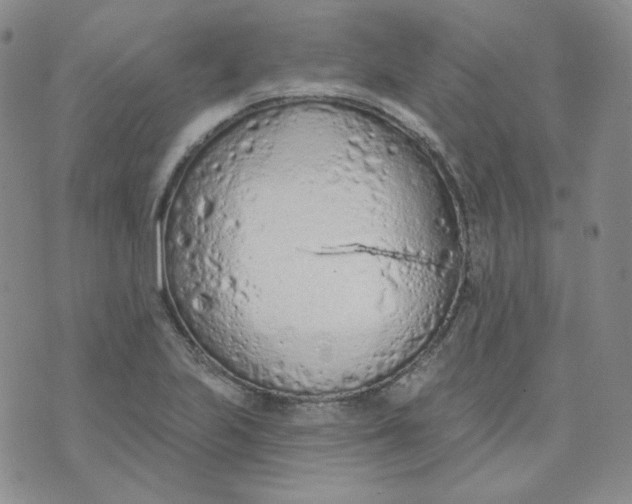 X0000074301223200609151933