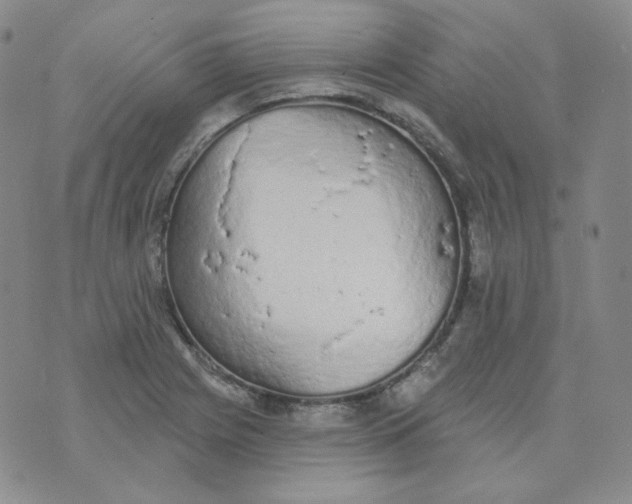 X0000074301225200609151933