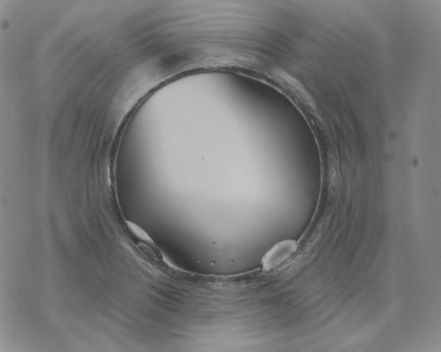 X0000074301226200609151933