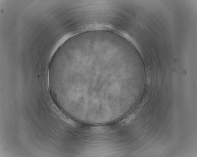 X0000074301227200609151933