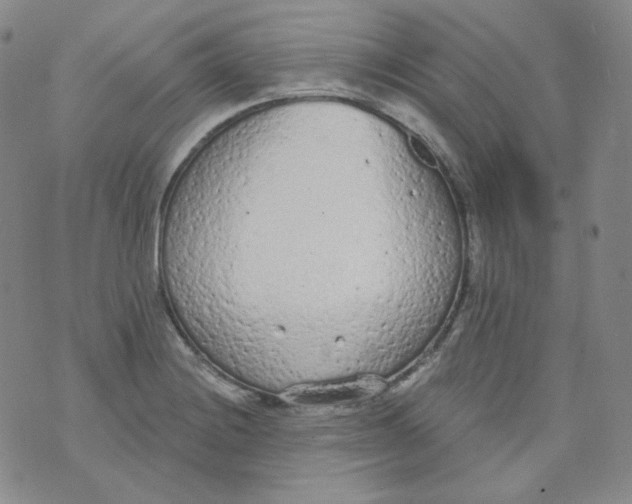 X0000074301228200609151934