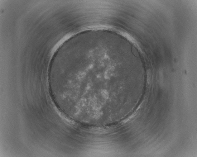 X0000074301229200609151934